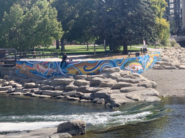 Trout in the Truckee River