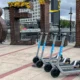 Bird Scooters