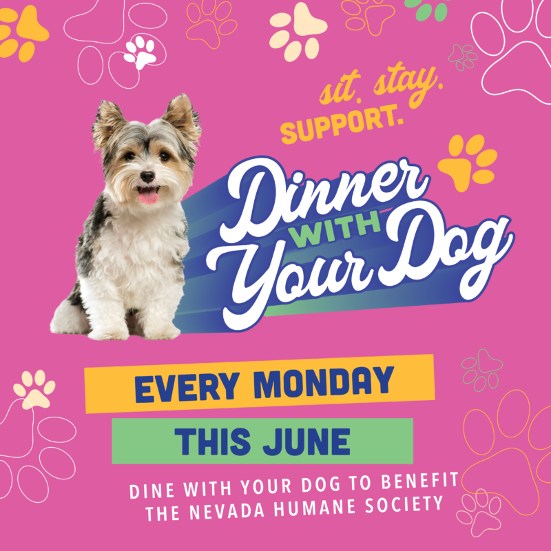 Wild River Grille - Dinner with Your Dog June