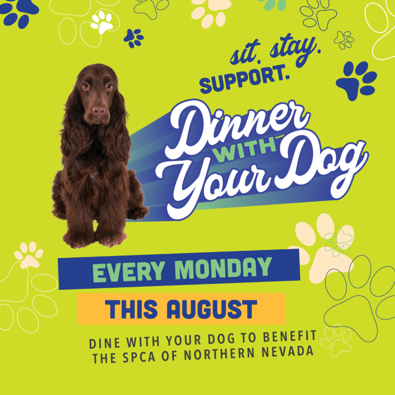 Wild River Grille - Dinner with Your Dog - August