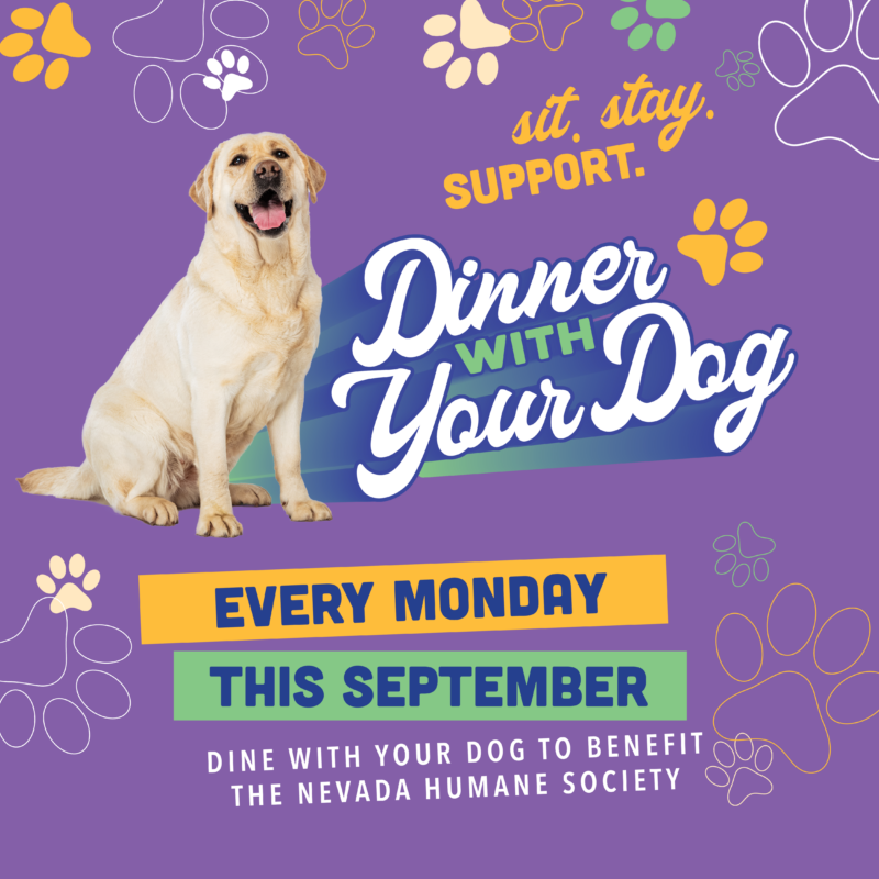 Wild River Grille - Dinner with Your Dog September