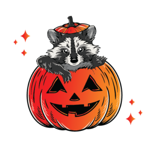 Illustration of a raccoon sticking out of a carved pumpkin.