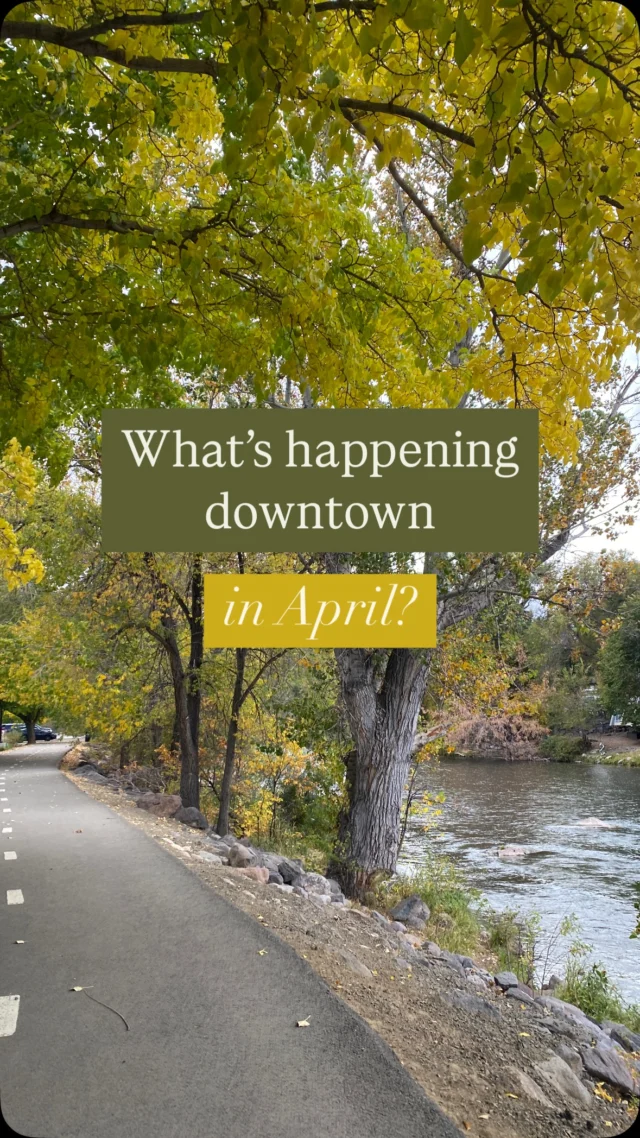 LOTS of things happening in @downtown_reno this month! ✨☀️ From the Wine Walk to the Mayor’s Dog Bowl Event to saying farewell to the Arlington Bridge as we know it, there’s a lot to look forward to. 
Thank you to @kolo8newsnow for showcasing all of the awesome goings on downtown! 🌇